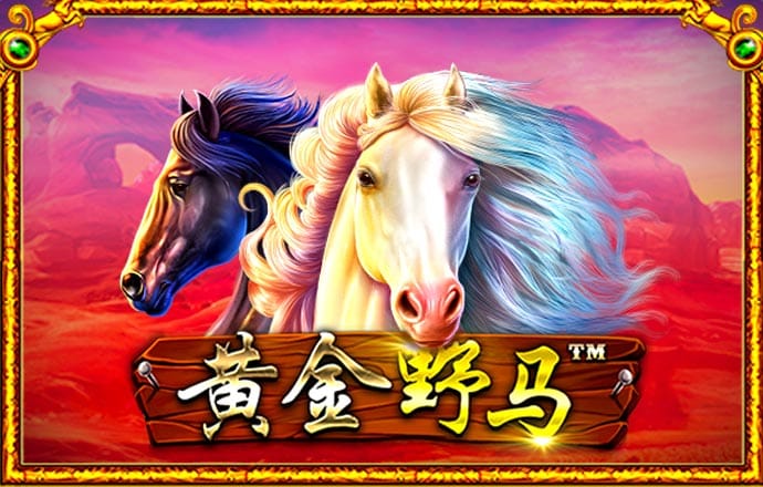 开云手机版
